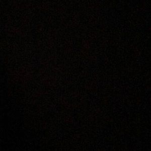 Meet your Posher, Kenny